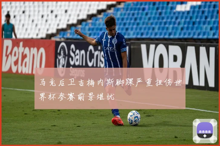马竞后卫吉梅内斯脚踝严重扭伤世界杯参赛前景堪忧